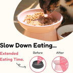 Unbreakable Raised Slow Feeder Bowl for Cats and Small Dogs, Elevated Cat Bowls, Detachable Slow Feede Bowl, Heavy Weighted, Non-Slip Feeder, Whisker Friendly (Pink, Round - 6.2w'' x 1.5h'' inch)