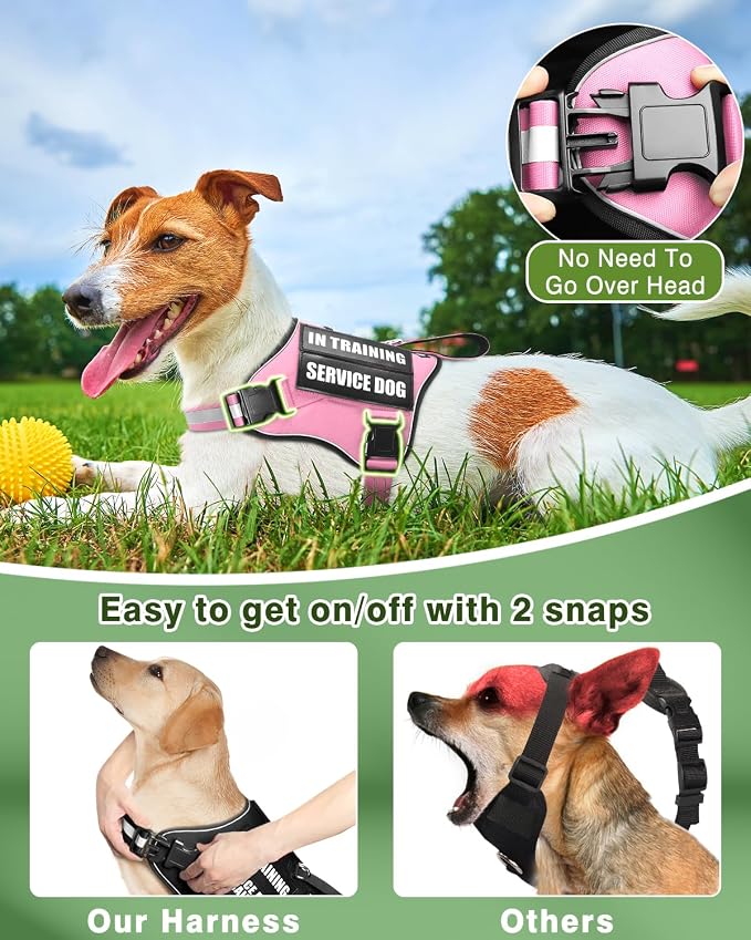 Small Service Dog Vest Harness and Leash Set+10 Patches Pink XS | Adjustable Reflective Do Not Pet Emotional Support Dog Vest with 2 Soft Padded Handle,MOLLE,for Everyday Training Hiking