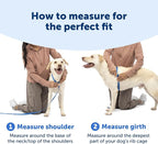 PetSafe Easy Walk Comfort No Pull Dog Harness, Green Gringham, Small | Stops Pulling on First Use with Front Martingale Loop, Padded Comfort, 5-Point Adjustable Fit