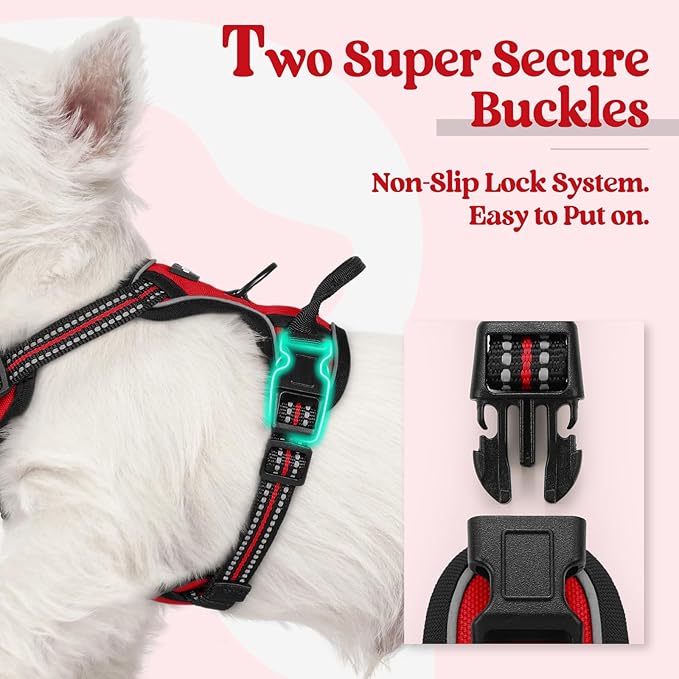 rabbitgoo Dog Harness, No Pull for Small Dogs with 2 Leash Clips, Pet Vest | No Choke, Adjustable, Breathable Padded, 2 Lead Rings, Reflective, Easy Control for Walking Training, XS, Red