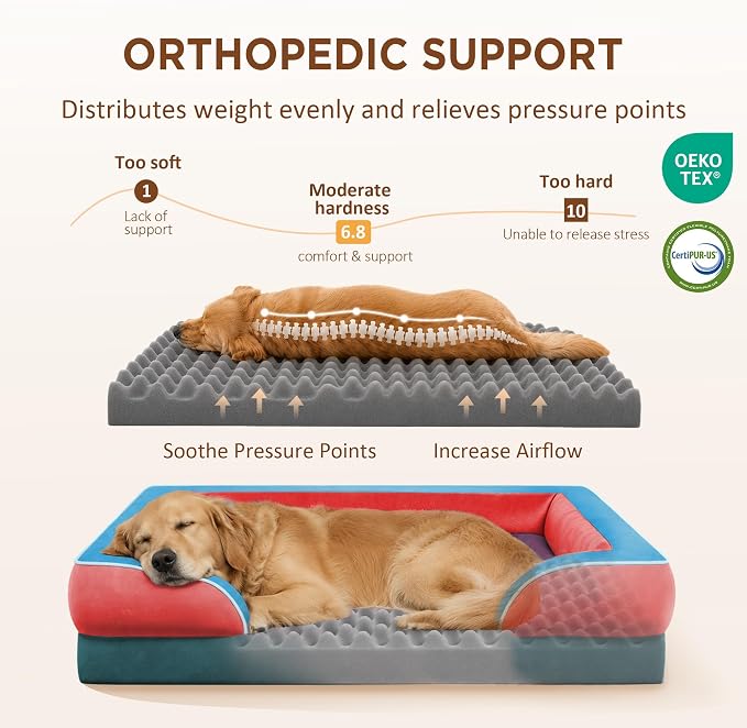 Comfort Expression Orthopedic Dog Bed for Extra Large Dogs with Bolster | Waterproof Dog Couch Bed with Washable Cover & Non-Slip Bottom, Supportive Egg Crate Foam XL Pet Bed, 45x35 Inch