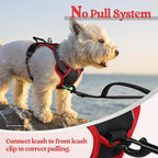 rabbitgoo Dog Harness, No Pull for Small Dogs with 2 Leash Clips, Pet Vest | No Choke with Handle, Adjustable Soft Padded, Reflective, Easy Control for Walking, Black & Red, X-Small