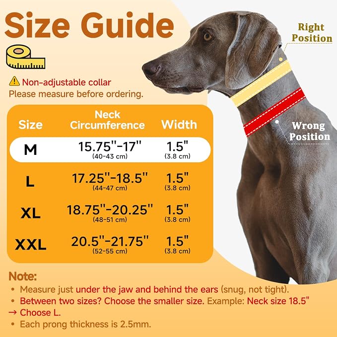 Mayerzon Martingale Dog No Pull Collar with Metal Buckle, Black, M, 2.5mm | Walking Training Collar for Medium Large Dogs German Shepherd, Boxer, Rottweiler that Pull, Reflective, 360° Swivel Ring