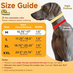 Mayerzon Martingale Dog No Pull Collar with Metal Buckle, Black, M, 2.5mm | Walking Training Collar for Medium Large Dogs German Shepherd, Boxer, Rottweiler that Pull, Reflective, 360° Swivel Ring