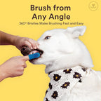 Jasper Large Dog Toothbrush, 360 Degree Pet Tooth Brushing Kit, Cat Toothbrush, Canine Dental Care & Teeth Cleaning Kit, Pet Finger Tooth Brush, Use with Dog Toothpaste, 2-Pack Navy-Blue Large