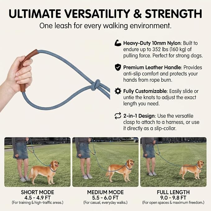 Hands Free Multifunctional Dog Leash for 1 or 2 Dogs, 9.8 ft, Tapestry Blue | Waist, crossbody, or handheld lead with leather handle to walk run hike train. Double attachments for 2 dogs up to 125lbs.