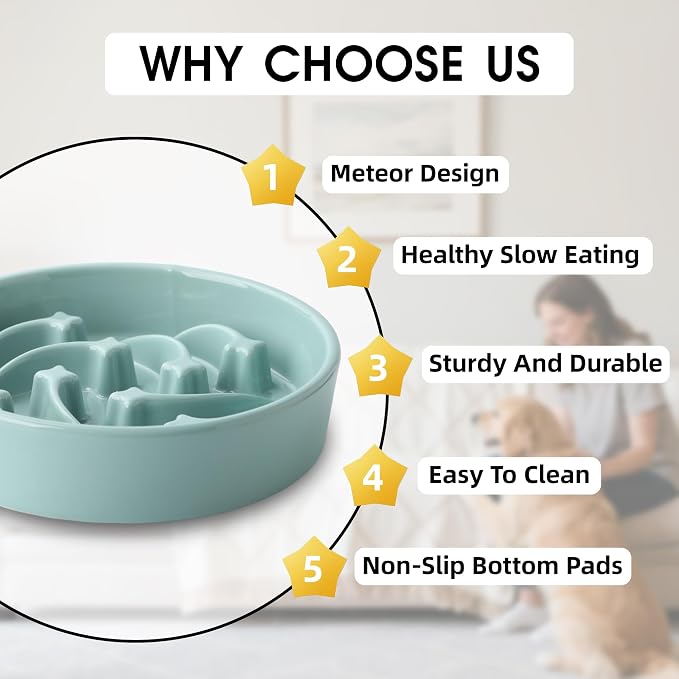 Ceramic Slow Feeder Dog Bowls Large Breed, 2 Cups, 8.3 Inch Green | 2 cups raised maze bowl slows fast eating for medium and large dogs; heavy ceramic, non-slip and dishwasher safe.
