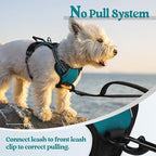 rabbitgoo Dog Harness, No Pull for Small Dogs with 2 Leash Clips, Pet Vest | No Choke, Adjustable, Breathable Padded, 2 Lead Rings, Reflective, Easy Control for Walking Training, XS, Blue Coral