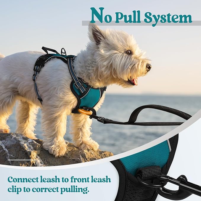 rabbitgoo Dog Harness, No Pull for Small Dogs with 2 Leash Clips, Pet Vest | No Choke, Adjustable, Breathable Padded, 2 Lead Rings, Reflective, Easy Control for Walking Training, XS, Blue Coral