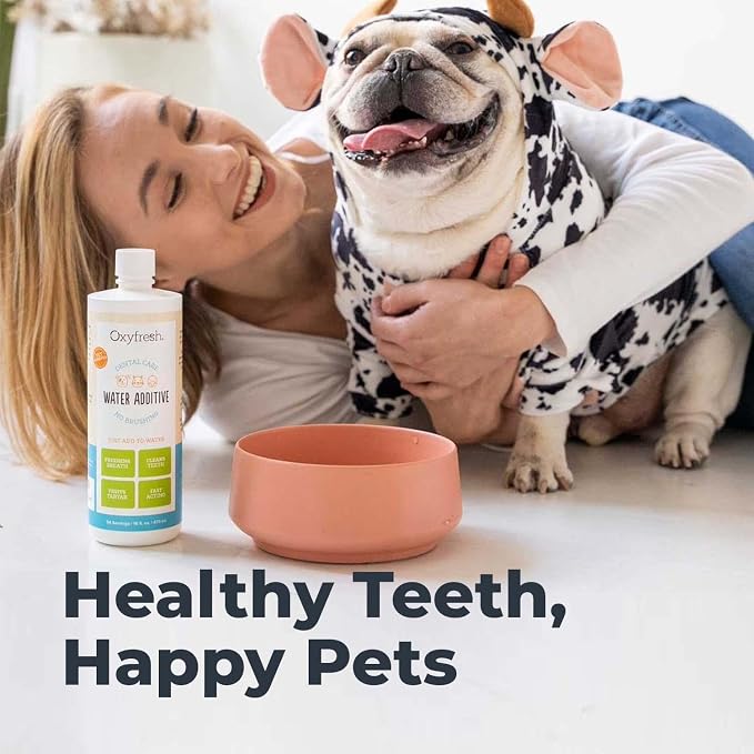 Oxyfresh Premium Pet Dental Care Solution Pet Water Additive: Best Way to Eliminate Bad Dog Breath and Cat Bad Breath - Fights Tartar & Plaque - So Easy, Just Add to Water! Vet Recommended 16 oz. | Perfect to Eliminate Bad Dog Breath and Cat Bad Breath...