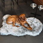 Faux Fur Orthopedic Dog Bed, Memory Foam, Grey 50"x30" | Plush Washable Dog Rug with Waterproof Machine Washable Cover, Calming for Anxious Senior Dogs, Relieves Joints