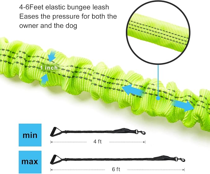 6FT Highly Reflective Heavy Duty Elastic Bungee Medium and Large Dog Leash Shock Absorbing with Comfortable Padded Handle and Traffic Handle Suitable for Training