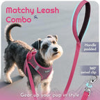 Eagloo Small Dog Harness and Leash Set, Step in Extra Small Puppy Pet Vest | Light, Soft, Breathable Air Mesh, Easy on and off with Hook & Loop, Reflective for Safe Walking, Rose Red, XXS