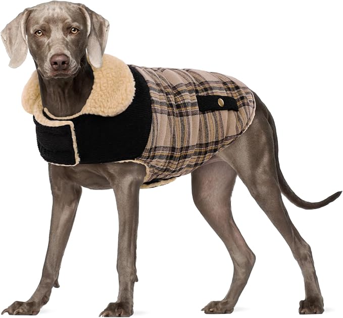 Dog Winter Jacket for Extra-Large Dogs, Pet Windproof Cold Weather Coats, Pets Clothes Snow Jacket, Golden Retriever, Labrador Retriever, Husky, Beige XL