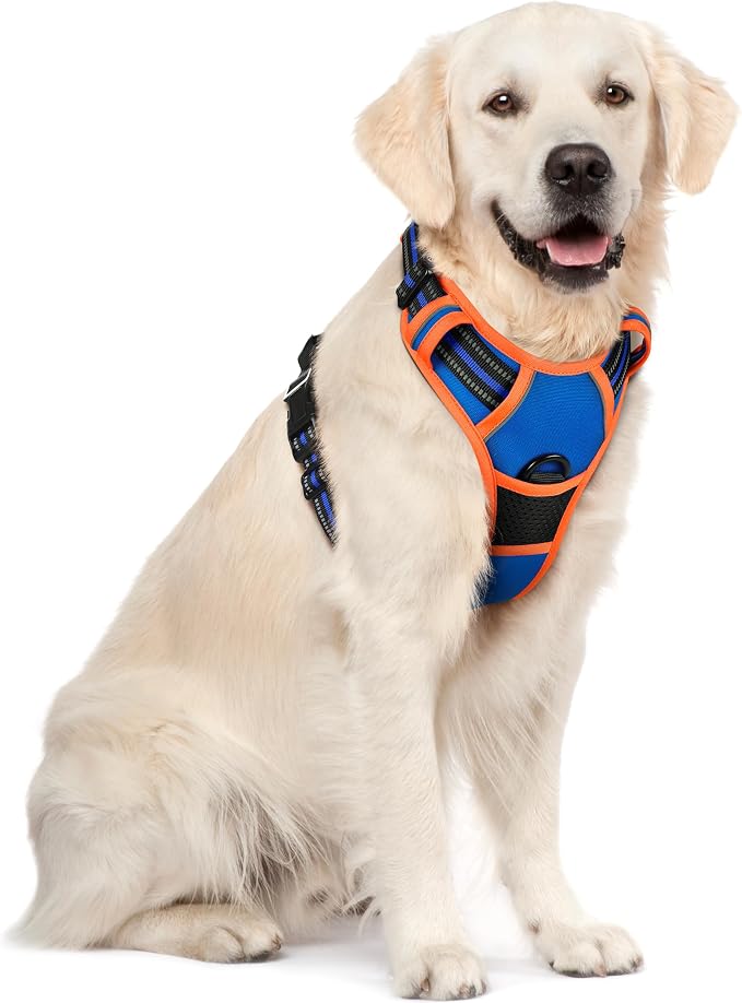 rabbitgoo Dog Harness, No Pull for Large Dogs with 2 Leash Clips, Pet Vest | No Choke with Handle, Adjustable Soft Padded, Reflective, Easy Control for Walking, Blue & Orange, X-Large
