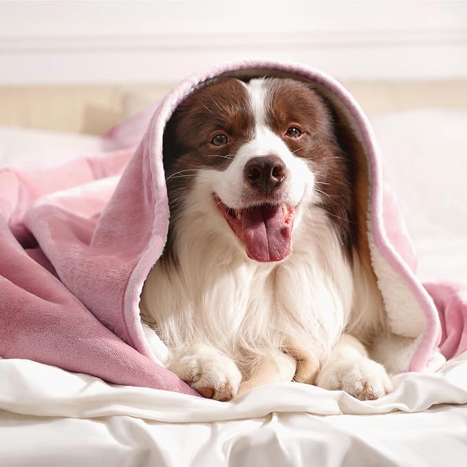 gogobunny Waterproof Bed Blanket, Reversible Sherpa Fleece Throw Blanket for Dog Puppy Cat, Furniture Cover Protects Bed Couch Sofa from Liquid Pee and Pet Fur (Pink, 30x70 inches)
