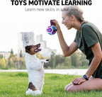 QDAN Small Dog Toys, Puppy Balls, Dog Balls with Straps for Small Breed | 3.5 Inch Small Soccer Ball for Dogs, Puppy Toys for 3-15 lbs Dogs, Dog Birthday Gift, Herding Ball for Small Dogs, Purple