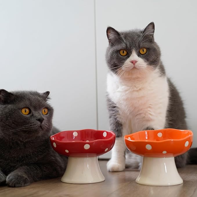 Red and Orange Mushroom Cat Bowl Set, 2PCS Elevated Ceramic Bowls for Cats | Cute Mushroom Set, Elevated, Ceramic, Whisker Friendly, Multi-Cat