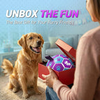 QDAN Dog Toy Soccer Ball, Durable Dog Balls for 30-90 lbs Small Medium Dogs | 8 Inch Soccer Toy with Straps, Dog Tug Toy for Tug of War, Puppy Birthday Gifts, Training Herding Balls for Outdoor, Purple
