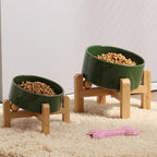 Petygooing Elevated/Raised 15°Slanted Ceramic Dog Bowl for Small and Medium Breeds, Tilted Anti Slip Pet Feeding Bowl,Food Water Dish with Stand for Cats and Dogs (28 OZ/3.6 Cups) Rust Green