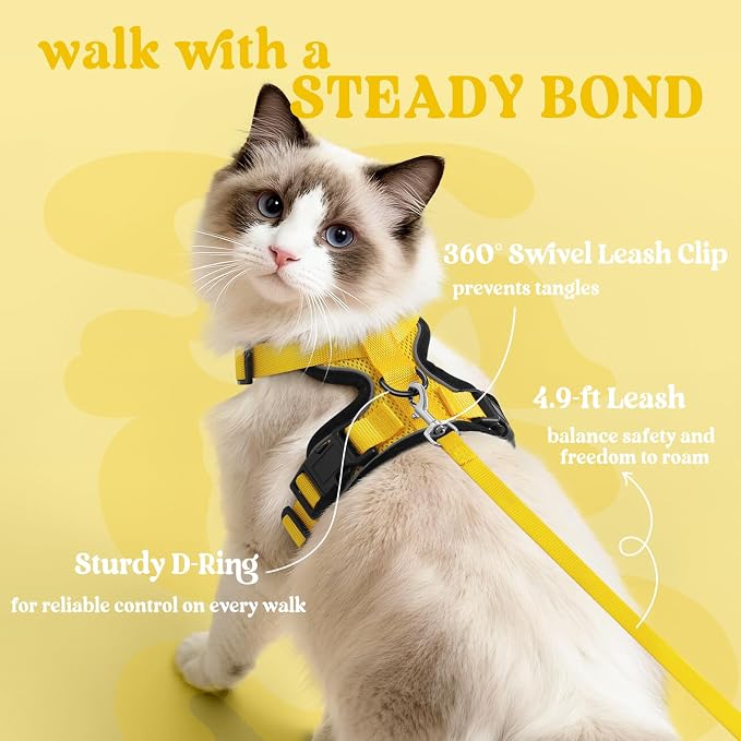 rabbitgoo Cat Harness and Leash Set, Escape Proof Vest, Yellow | Soft Breathable Mesh, Easy Adjustable Fit, Snap Buckles, Sturdy Clip, Reflective Strips, for Kittens & Small Cats Walks, Xxs