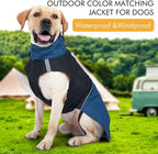 Windproof Dog Winter Jackets - Outdoor Coats for Cold Weather, Waterproof Raincoats with Leash Hole, Black Blue XL