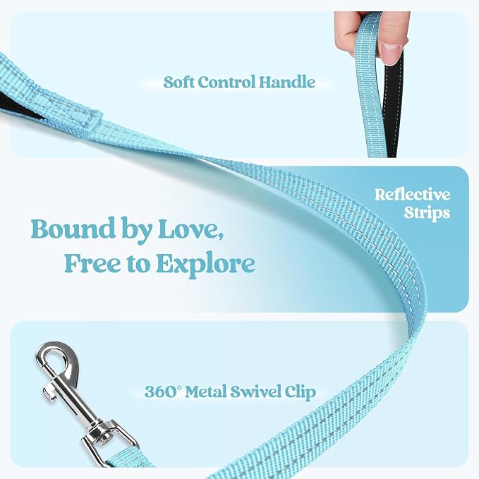 rabbitgoo Dog Harness Small Sized and Leash Set, Step-in Puppy Pet Vest | Light, Soft, Breathable Air Mesh, Easy on and Remove with Hook & Loop, Secure Reflective for Walking, Mint Blue XS