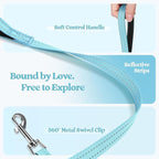 rabbitgoo Dog Harness Small Sized and Leash Set, Step-in Puppy Pet Vest | Light, Soft, Breathable Air Mesh, Easy on and Remove with Hook & Loop, Secure Reflective for Walking, Mint Blue M