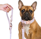Soft Leather Dog Collar and Leash (6.6') Set - Stylish Rose Gold Heavy Duty Metal Buckle, 4 Adjustable Lengths Leash for Small Medium Large Dogs - Comfortable & Easy to Clean L(15.4"-24.8"), Gold Pink