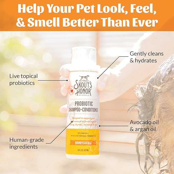 SKOUT'S HONOR Probiotic Dog Shampoo and Conditioner - Honeysuckle, 16 oz | Hydrating, Natural 2-in-1 for Itchy Skin, Microbiome-Friendly with Avocado Oil & Omega-3s, Paraben & Sulfate-Free