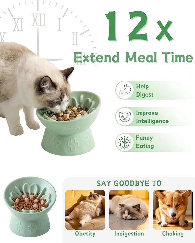TRUVIC Ceramic Slow Feeder Cat Bowl, 15° Tilted Elevated Cat Slow Eating Bowl for Neck Protection, Anti Vomiting Dog Slow Feeder, Whisker Friendly & No Black Chin for Cats and Small Dogs, Green