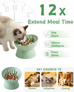 TRUVIC Ceramic Slow Feeder Cat Bowl, 15° Tilted Elevated Cat Slow Eating Bowl for Neck Protection, Anti Vomiting Dog Slow Feeder, Whisker Friendly & No Black Chin for Cats and Small Dogs, Green