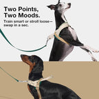 VETRESKA Dog Harness and Leash Set, Easy Walk Dog Harness, L | for Large Medium Dogs, No Pull Puppy Harness for Walking and Training, Adjustable, Anti-Twist Leash (Santal Forest)