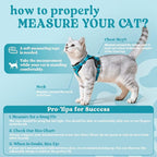 rabbitgoo Cat Harness and Leash Set, Escape Proof Vest, Teal | Soft Breathable Mesh, Easy Adjustable Fit, Snap Buckles, Sturdy Clip, Reflective Strips, for Medium to Large Cats Walks, M