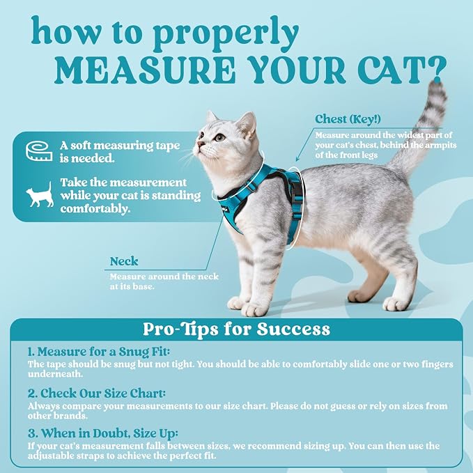 rabbitgoo Cat Harness and Leash Set, Escape Proof Vest, Teal | Soft Breathable Mesh, Easy Adjustable Fit, Snap Buckles, Sturdy Clip, Reflective Strips, for Average Cats Walks, S