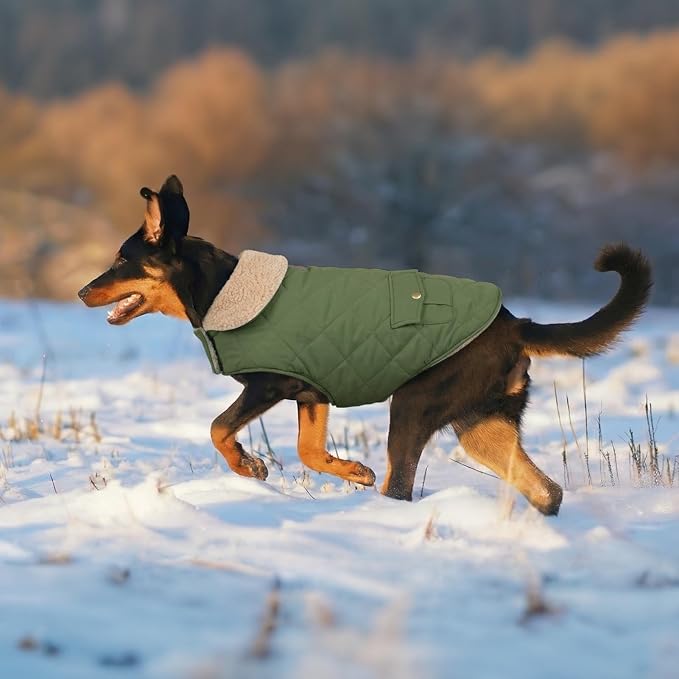 Winter Coat for Small Dogs, Puppy Plaid Jacket, Dog Jacket for Cold Weather, Windproof Warm Garments, Pets Thickened Outfits Indoor Outdoor, Army Green S