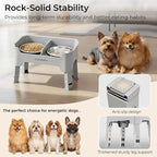 URPOWER Mess Proof Elevated Dog Bowls for Small Dogs with Splash Guard | 4 Height Adjustable Raised Stand with 2 Stainless Steel Food Bowls & Licking Plate for Small, Medium & Large Dogs
