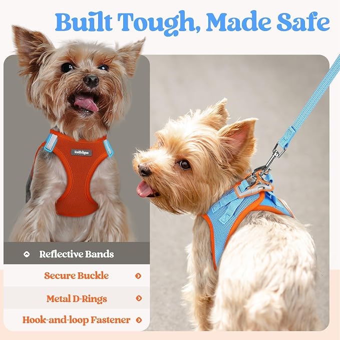 rabbitgoo Dog Harness Medium Sized and Leash Set, Step-in Puppy Pet Vest | Light, Soft, Breathable Air Mesh, Easy on and Remove with Hook & Loop, Secure Reflective for Walking, Blue & Orange XXL