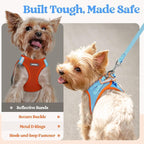rabbitgoo Dog Harness Medium Sized and Leash Set, Step-in Puppy Pet Vest | Light, Soft, Breathable Air Mesh, Easy on and Remove with Hook & Loop, Secure Reflective for Walking, Blue & Orange XXL