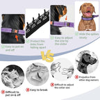 Mayerzon Martingale No Pull Collar for Medium Large Dogs | Purple, L | Patented Anti Pull Dog Collar with Buckle for Walking Training, Reflective Stitching, Neoprene Padding, Adjustable, Sturdy
