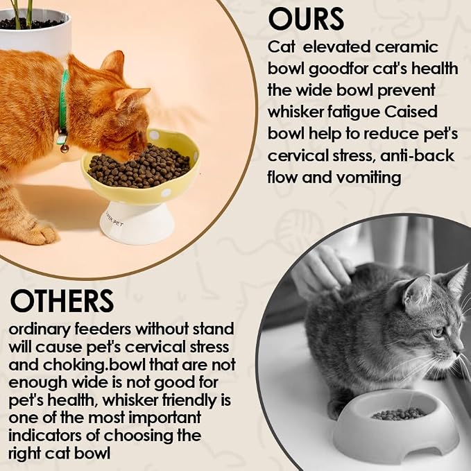 Black Mushroom Cat Bowl, Elevated Ceramic Bowl for Cats | Elevated, Ceramic, Whisker Friendly, Anti Vomitin,Cute Mushroom Design