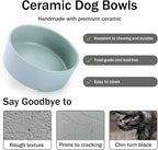 MateeyLife Ceramic Dog and Cat Bowls with Stand, 2-Pack Food and Water Bowl Set - Non-Slip Pet Bowls for Cats,Puppies and Small Dogs, 13.5OZ（Green）