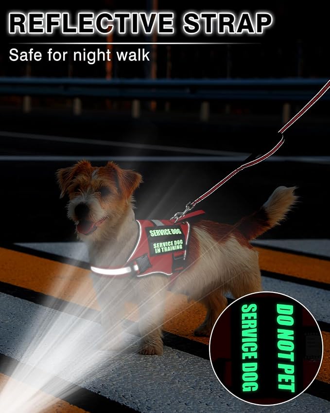 Service Dog Vest Harness and Leash Set+10 Patches Red XS | Adjustable Reflective Do Not Pet Emotional Support Dog Vest with 2 Soft Padded Handle,MOLLE,for Everyday Training Hiking