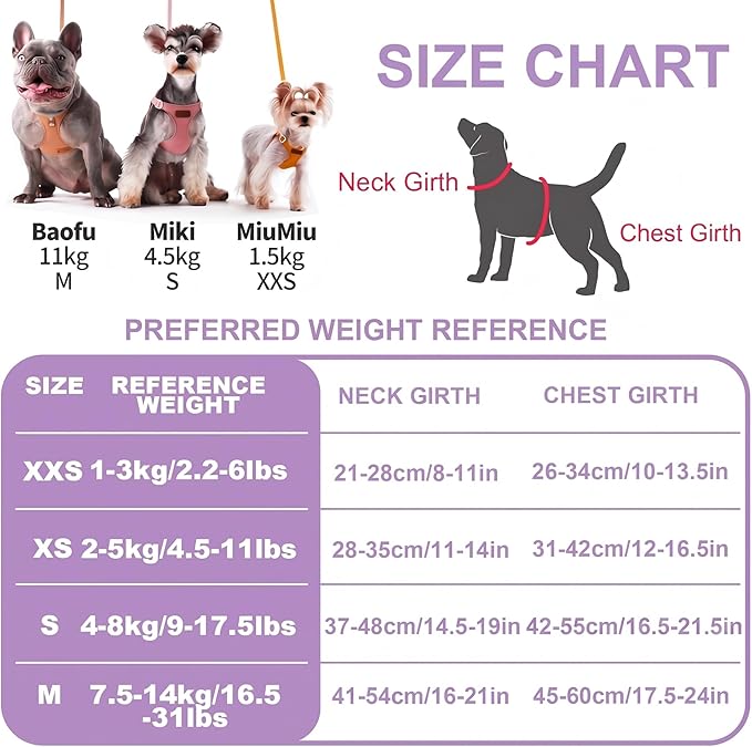 Puppytie Dog Harness and Leash Set, Light Purple, M (16.5-31 lbs) | Harness Small Size Dog, Dog Leash for Small Dogs, Soft Lightweight and Adjustable, Small Dog Harness for Daily Walks