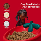 VETRESKA Ceramic Pet Bowl, Tilted Design Pet Feeder for Food and Water | Anti Vomit Cat Bowls for Indoor Cats Cute Strawberry Cat Bowl Dishwasher Safe