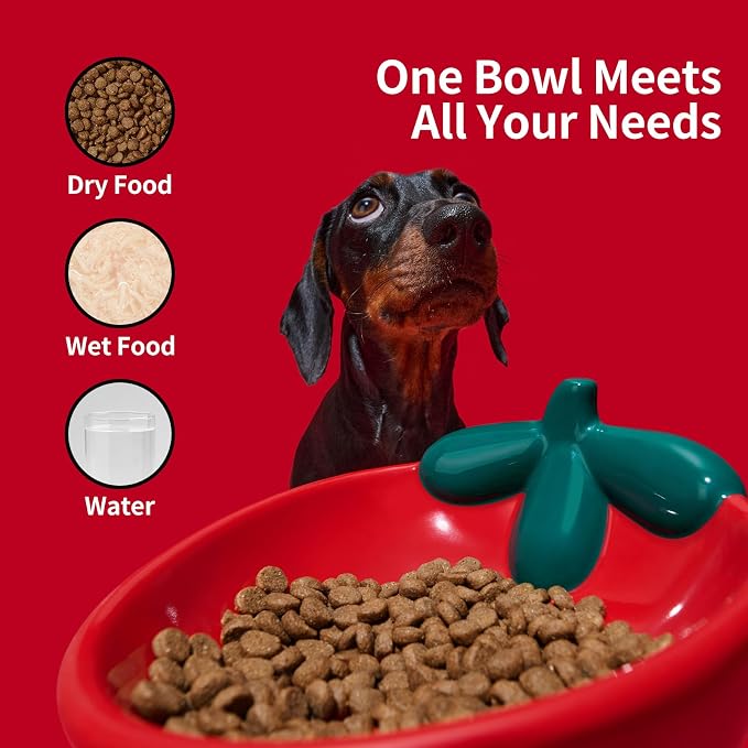 VETRESKA Ceramic Pet Bowl, Tilted Design Pet Feeder for Food and Water | Anti Vomit Cat Bowls for Indoor Cats Cute Strawberry Cat Bowl Dishwasher Safe