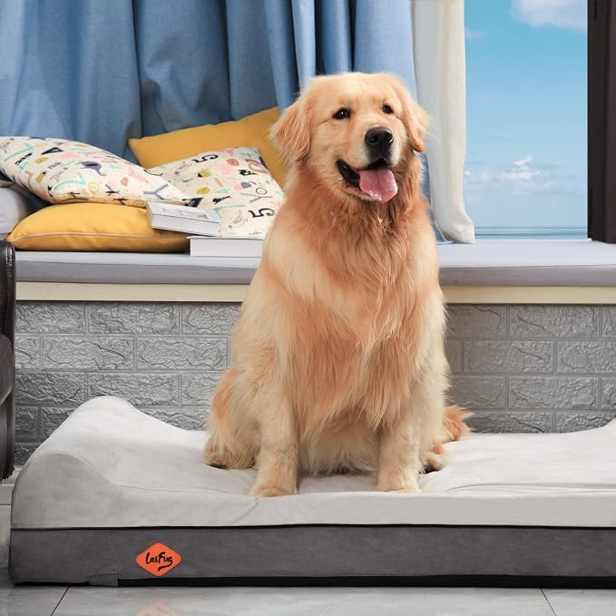 Laifug Orthopedic Dog Beds for Large Dogs,7" Memory Foam Dog Beds,Durable Water Proof Liner Removable and Washable, Nonskid Bottom, Dark Grey 50"x36"x10"
