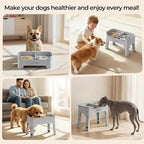 URPOWER Mess Proof Elevated Dog Bowls for Small Dogs with Splash Guard | 4 Height Adjustable Raised Stand with 2 Stainless Steel Food Bowls & Licking Plate for Small, Medium & Large Dogs