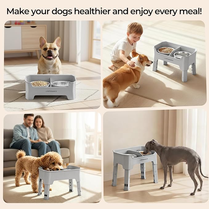 URPOWER Mess Proof Elevated Dog Bowls for Small Dogs with Splash Guard | 4 Adjustable Heights, 2 Stainless Steel Bowls, Food & Water Separation, Non-Slip Base, Foldable Dog Bowl Stand, Light Grey