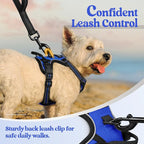 rabbitgoo Dog Harness, No Pull for Small Dogs with 2 Leash Clips, Pet Vest | No Choke with Handle, Adjustable Soft Padded, Reflective, Easy Control for Walking, Dazzling Blue, X-Small